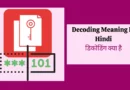 Decoding Meaning In Hindi