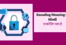 Encoding Meaning In Hindi encoding meaning in hindi , encoding kya hai , encoding and decoding meaning in hindi , meaning of encoding in hindi , meaning of encode in hindi , encoder meaning in hindi , encoder in hindi , encoder and decoder in hindi