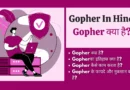 gopher protocol in hindi, gopher in hindi, gopher kya hai, गोफर प्रोटोकॉल इन हिंदी, what is gopher in hindi, गोफर क्या है, gopher kya hota hai, gopher in computer in hindi, गोफर, gopher in computer,
