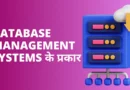 Database Management Systems के प्रकार Types of DBMS in Hindi, डेटाबेस मैनेजमेंट सिस्टम इन हिंदी PDF, डेटाबेस कितने प्रकार के होते हैं, डीबीएमएस क्या है, डेटाबेस के प्रकार, Types of relationship in dbms in hindi, डीबीएमएस के लाभ और हानि, Dbms क्या है इसकी विशेषताएं लिखिए, dbms में कितने प्रकार की keys होती है?, er model in dbms in hindi,