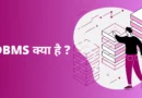What is DBMS in Hindi डेटाबेस मैनेजमेंट सिस्टम इन हिंदी , डीबीएमएस के लाभ और हानि, Dbms क्या है इसकी विशेषताएं लिखिए, डीबीएमएस क्या है, Er model in dbms in hindi, डेटाबेस मैनेजमेंट सिस्टम नोट्स, व्हाट इस डीबीएमएस in english, डेटाबेस मैनेजमेंट सिस्टम के प्रकार, dbms, dbms full form,