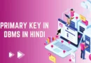 Primary Key in DBMS in Hindi,primary key kya hai, primary key in dbms in hindi, primary key in hindi, primary key kya hai, what is primary key in hindi, primary key in hindi, foreign key in hindi, primary key and foreign key in hindi, what is primary key in hindi, types of keys in dbms in hindi,